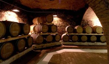 Tokaj och Villany – Ungerns äldsta och mest dynamiska vinregioner