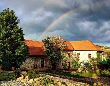Tokaj och Villany – Ungerns äldsta och mest dynamiska vinregioner
