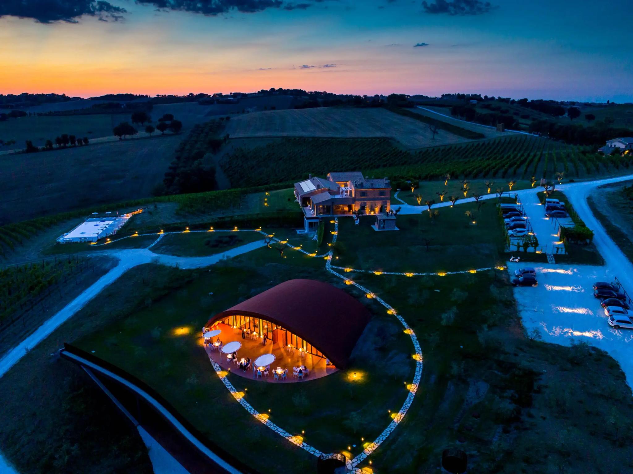 Filodivino Wine Resort & Spa - Vingården som har odlingar som är över 50 år gamla