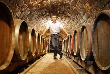 Tokaj och Villany – Ungerns äldsta och mest dynamiska vinregioner