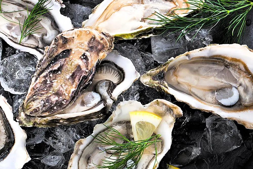 Tips på fantastiska maträtter till champagne