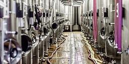 Hur gör man egentligen Champagne?