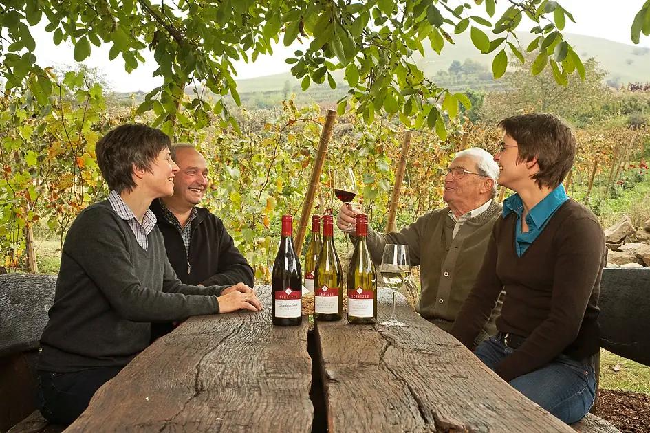 Baden – Vinregionen nära Svartskogen – Din insider guide till de bästa vingårdarna