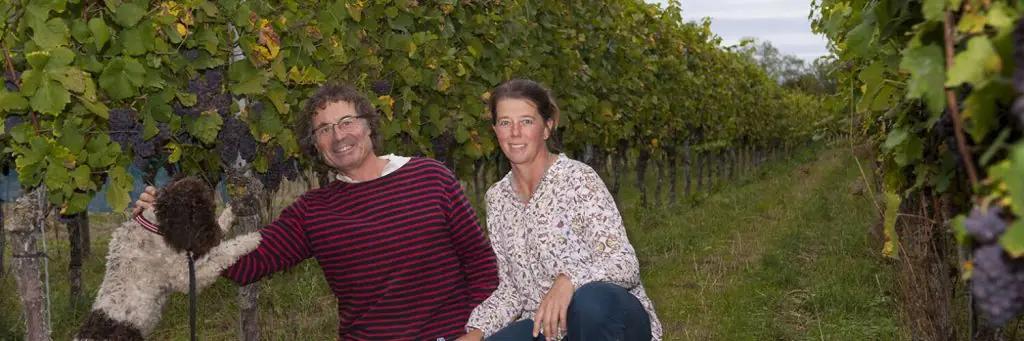 Baden – Vinregionen nära Svartskogen – Din insider guide till de bästa vingårdarna