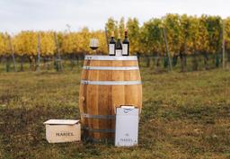 Mariel Winery: Ett arv av tradition och excellens inom österrikiskt vin