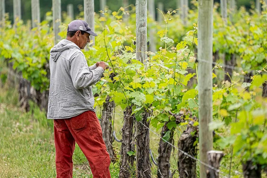 Nya regioner - omslagsbild Nya regioner - omslagsbild