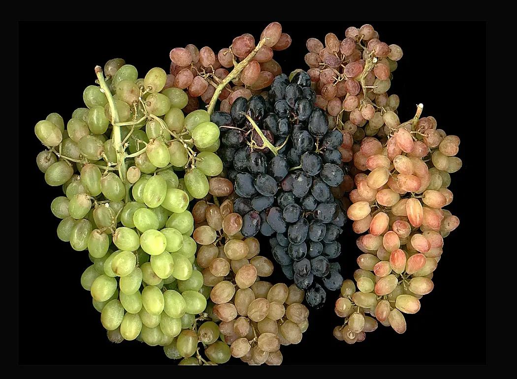 come-back druvor omslag come-back druvor omslag