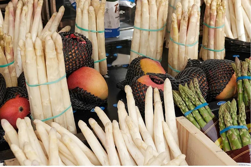 sparris - omslagsbild sparris - omslagsbild