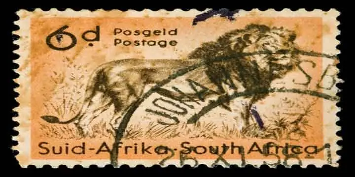 african-lion-stamp - Vinjournalen.se