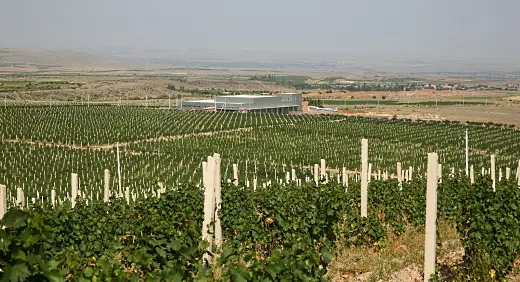 Armenien vy över vingårdar med berg i bakgrunden - Vinjournalen.se