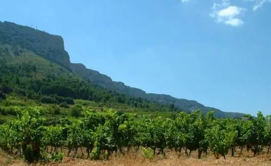 Roussillon: Domaine Vents du Sud 