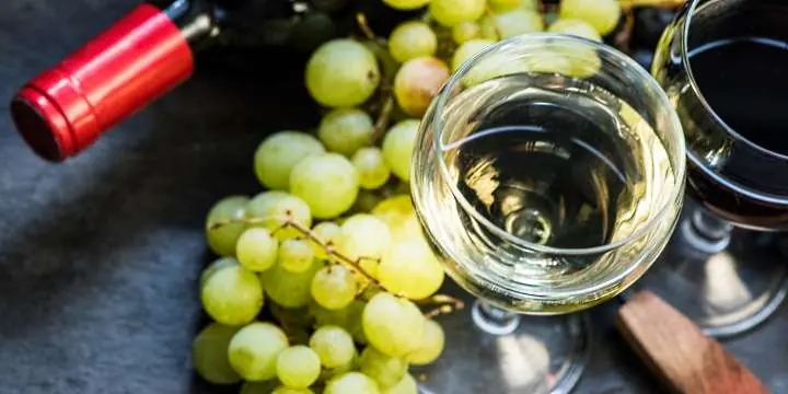 Österrike - vit och rött vin i glas samt druvor - Vinjournalen.se