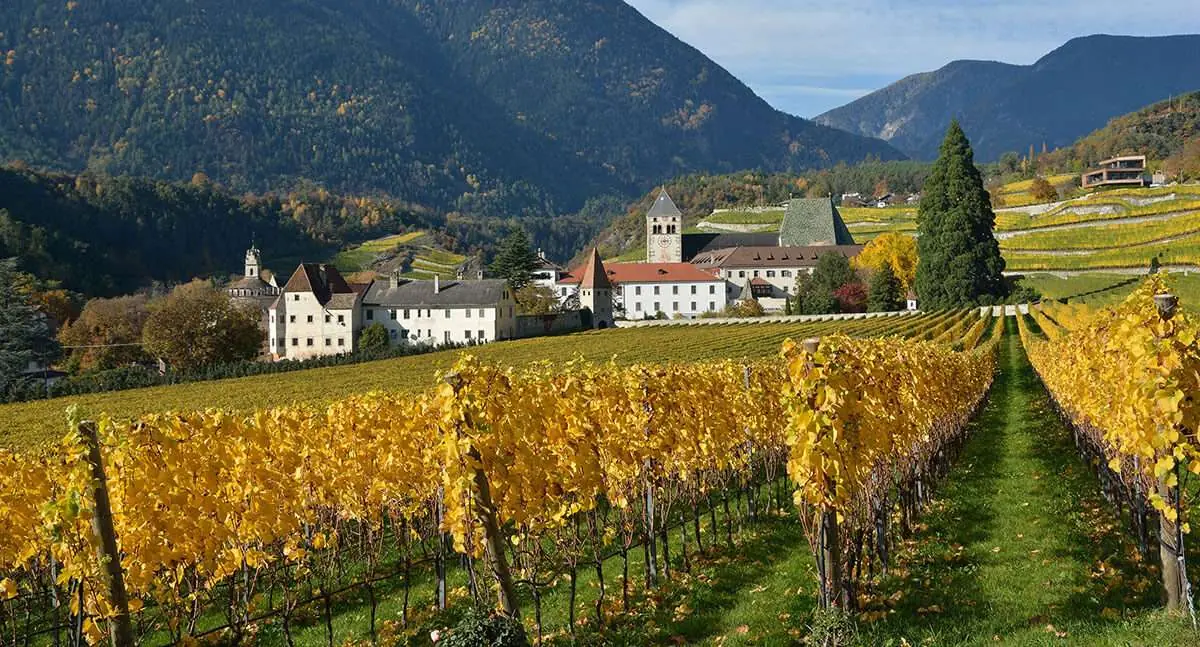 alto adige vinregion i norra italien - Vinjournalen.se
