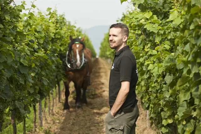 reif-nett-winemaker-and-horse_phbndx - Vinjournalen.se