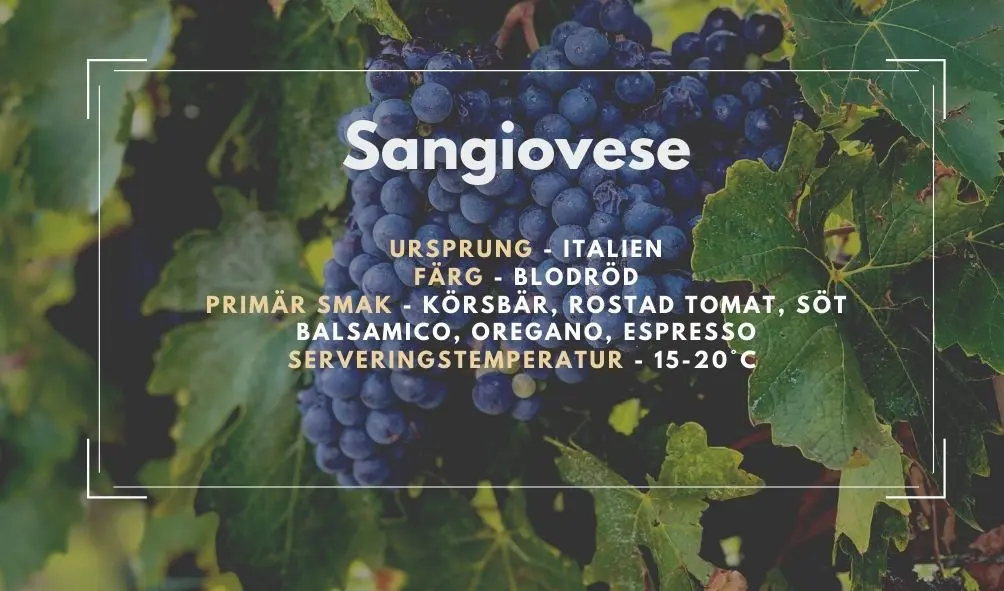 Allmän information om Sangiovese