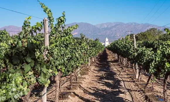 argentinas viner - en vingård - Vinjournalen.se