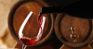 Barbera d'Asti - omslagsbild med en flaska rött vin - Vinjournalen.se