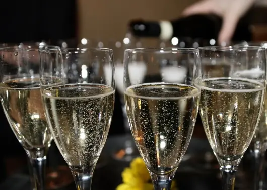 basta-champagne-2019 - Vinjournalen.se