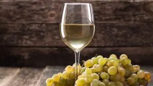 Nya vinvärlden - ett glas chardonnay med druvor - Vinjournalen.se