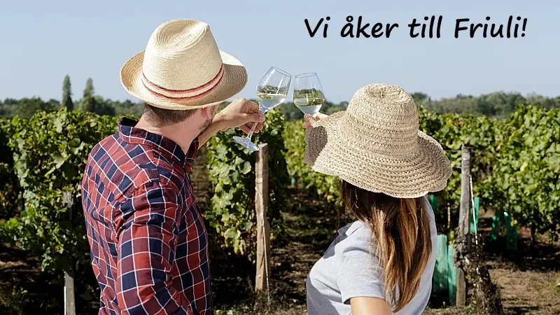 Fruli-omslag - Vinjournalen.se