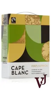 Cape Blanc by Foot of Africa 2022